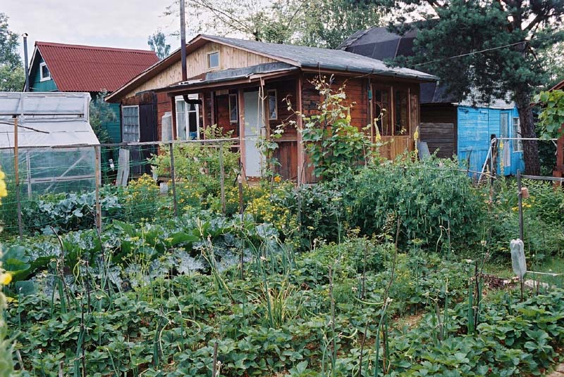 Огороды на дачах фото Огороды на дачах фото