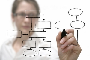 Project management