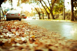 Подготовить автомобиль к осени