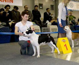 Евразия-2008 Евразия-2008