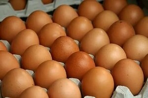 В Хакасии арестовали фургон с подозрительными яйцами
