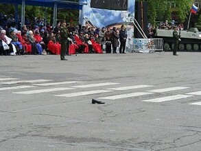 Глава Хакасии одарил золушку, которая босиком маршировала на параде Победы