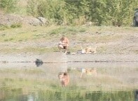 Саяногорские эпидемиологи запрещают купаться в реке Уй