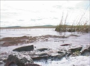 Утопшего саяногорца нашли на Красном озере