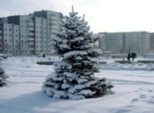 Саяногорск лидирует по явке среди городов Хакасии