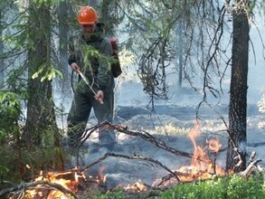 За сутки в Хакасии выгорело 8 гектаров леса