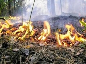 На территории Саяногорска сохраняется напряженная пожарная обстановка