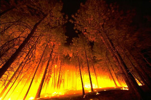 Сейчас горит лес под Саяногорском