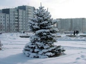 Подготовка к новогодним праздникам в Саяногорске вступила в активную фазу