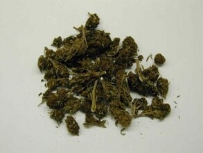 В Абакане задержали двух мужчин с 3 кг марихуаны