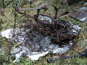 Более 300 браконьерских петельбыло обнаружено на территории заповедника "Саяно-Шушенский"