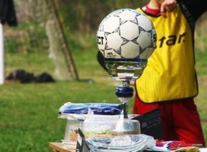 В Черемушках завершился турнир по футболу среди дворовых команд