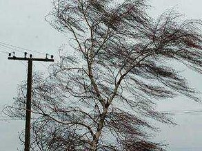 Сильный ветер уронил электроопору в Майна
