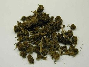 В Хакасии у наркомана изъято 10 кг марихуаны