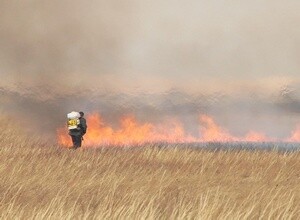 В Саяногорске начались плановые отжиги травы