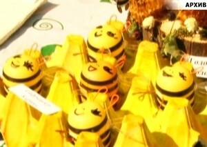 В Саяногорске выберут самую красивую пчелу