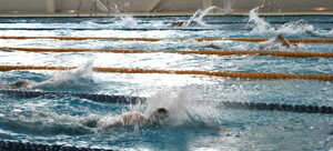 В копилке пловцов Абакана четыре медали чемпионата и первенства СФО