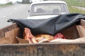 В Хакасии на опасное мясо наложили арест