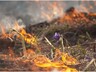 В Хакасии дачников предупредили об ответственности за сжигание травы
