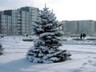 Саяногорск начнет встречать Новый год уже на предстоящей неделе