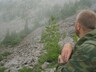 В Саяногорске продолжается пора активности клещей