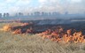 Лесники Хакасии начали профилактику лесных пожаров