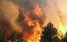 За первомайские праздники в Хакасии сгорело 70 гектаров леса