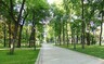 Парк активного отдыха построят в Саяногорске