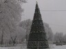 В Саяногорске начали установку одной из городских елок