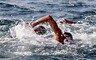Саяногорские моржи проплывут по Енисею 122 км
