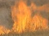 В Хакасии за сутки зарегистрировано 57 степных пожаров и палов травы