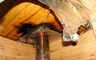 Пенсионеру в Хакасии придется восстанавливать на бане крышу