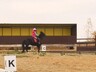 Саяногорск примет Первые открытые республиканские соревнования по адаптивному конному спорту