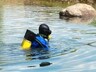 Саяногорские водоемы проходят проверку к купальному сезону