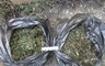 В Хакасии уничтожили 26 килограммов наркотиков