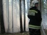 В Хакасии продолжает действовать особый противопожарный режим в лесах