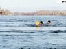 Саяногорцы в 10-ке сильнейших в мире пловцов в холодной воде