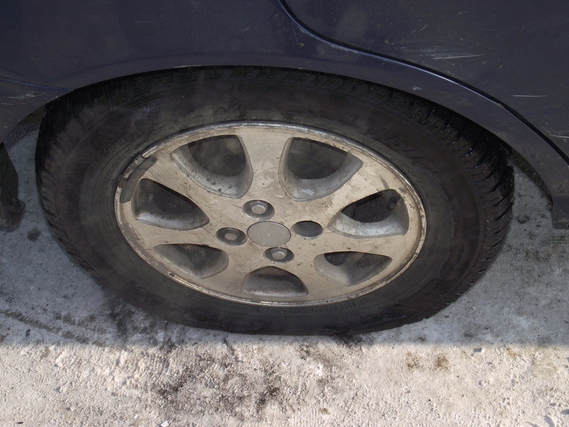 29.01.11 ����� ���� ���� -��� ��������