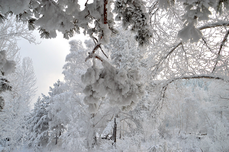 Зима в Саянах 2013 -Без названия