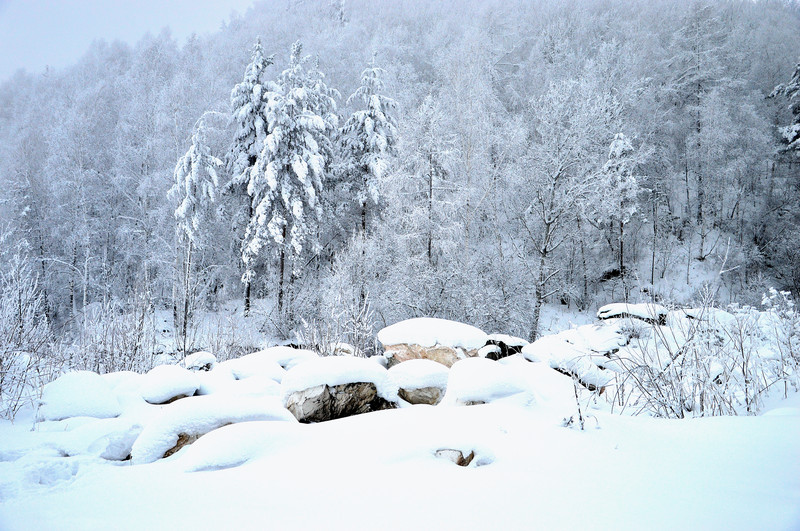 Зима в Саянах 2013 -Без названия